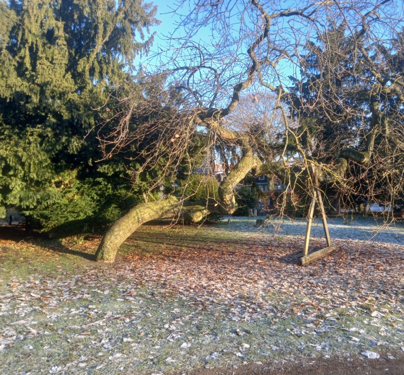 samtalsterapeut ditt stöd samtalsterapeut ditt stöd